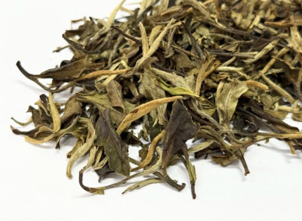 Bai Mu Dan