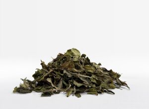 Bai Mu Dan
