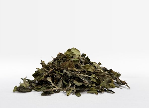 Bai Mu Dan