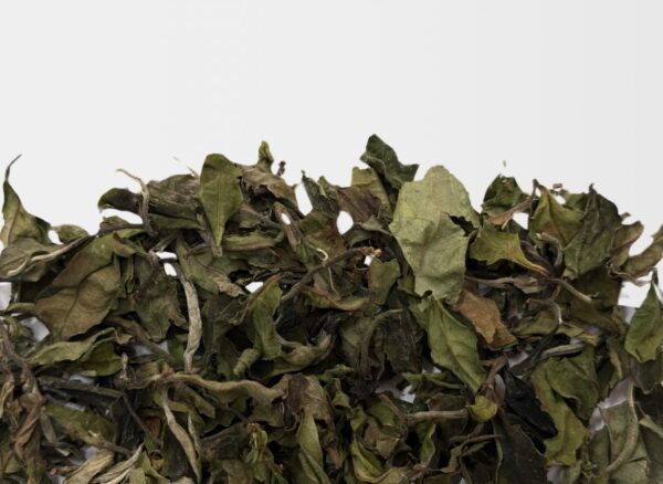 Bai Mu Dan