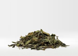 Bai Mu Dan