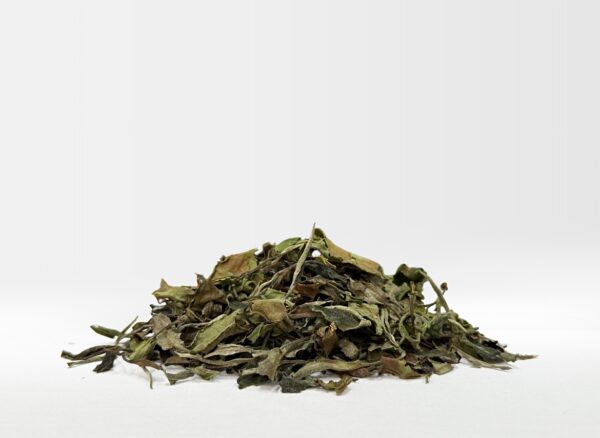 Bai Mu Dan