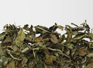 Bai Mu Dan
