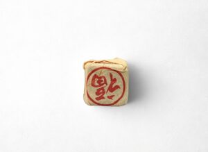 Shu Pu-Erh fangcha