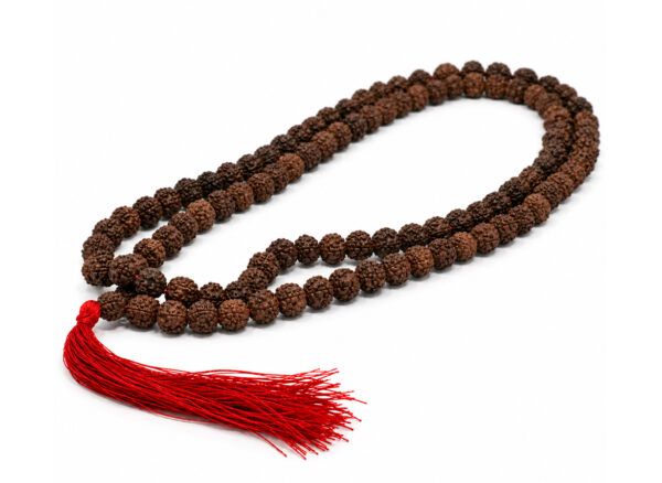 Różaniec „Rudraksha” – długi sznur brązowych koralików ułożony na białym tle